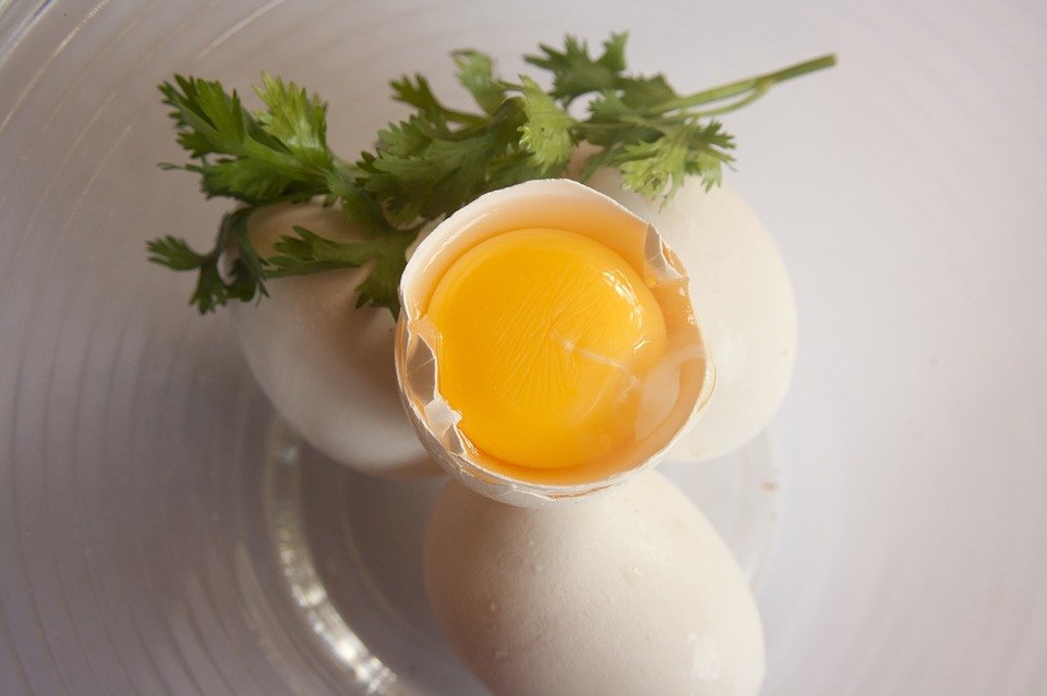 ovo-aberto-gema-a-mostra-post-lecitina de ovos