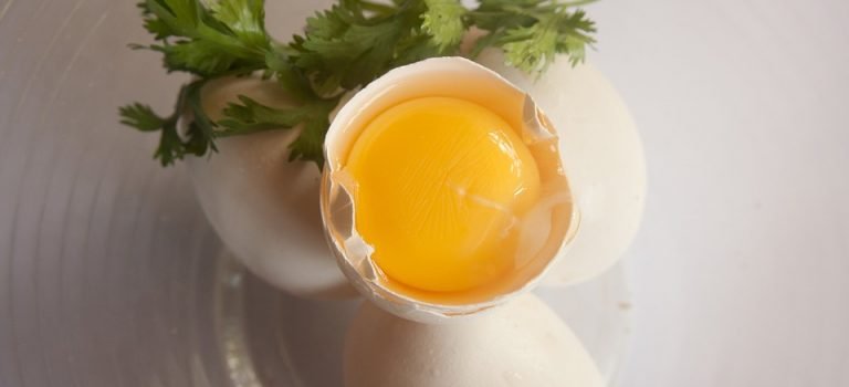 Lecitina de Ovos: Descubra o que é e Quais os Benefícios